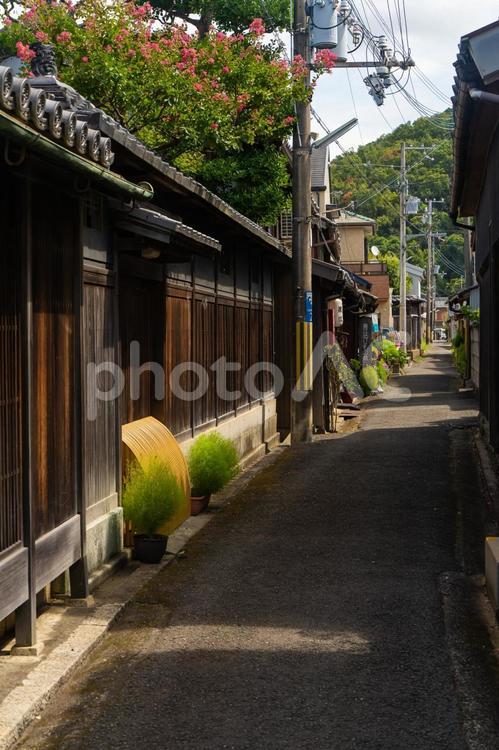  黒江の古い町並み　和歌山県海南市 街並み,黒江,古い町並みの写真素材
