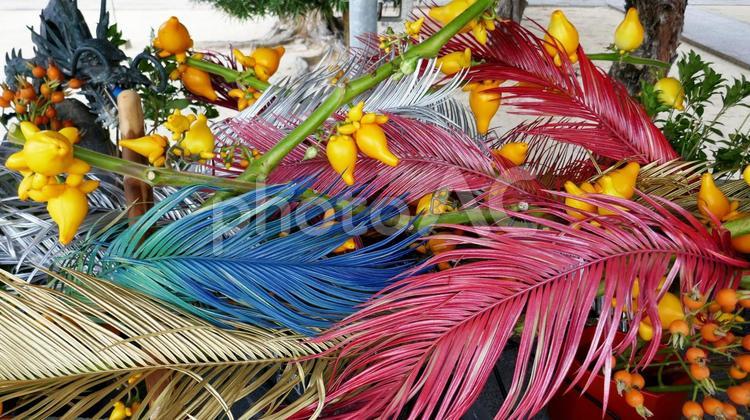 手水舎を彩る様々な植物たち 手水舎,花,植物の写真素材