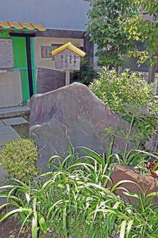 吉原神社(台東) 吉原神社(台東) 吉原神社,倉稲魂命,市杵嶋姫命の写真素材
