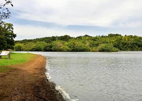 春めいた一碧湖の風 一碧湖,桜,早春の写真素材