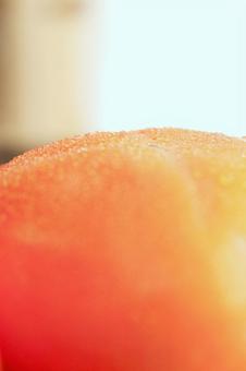 柿 柿,食べ物,果物の写真素材