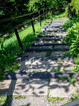 木漏れ日の階段 夏,公園,階段の写真素材