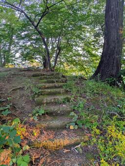 登山道の苔の生えた石段 自然,山道,苔の写真素材