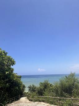 真夏の海への入り口 真夏の海への入り口の写真