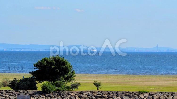 初夏の青い海と空・葛西臨海公園（東京都） 初夏,青,海の写真素材