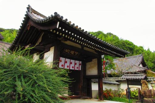 広島県-明王院-山門 広島県-明王院-山門 明王院,寺,中道山の写真素材