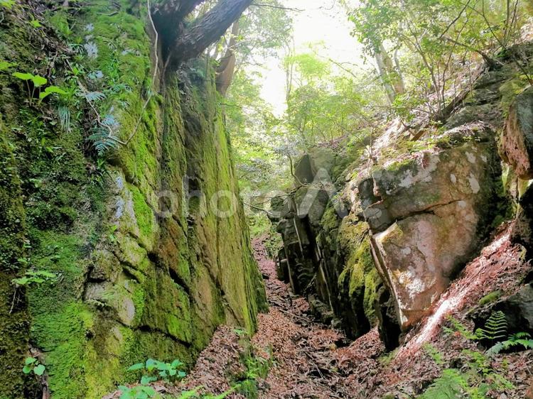 奥出雲の天然記念物「岩屋寺の切開」 島根,奥出雲,国指定の写真素材