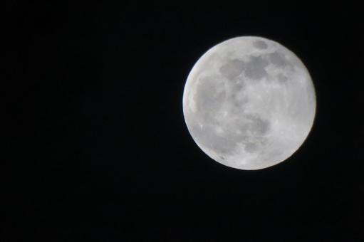 December Full Moon "Cold Moon" Night Moon Series 6, JPG December Full Moon "Cold Moon" Night Moon Series 6, month, night sky, rabbit, JPG