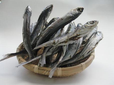 アゴ(トビウオ)煮干し アゴ(トビウオ)煮干しの写真