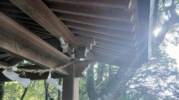 寺の手洗い場と光 寺,光,手洗い場の写真素材