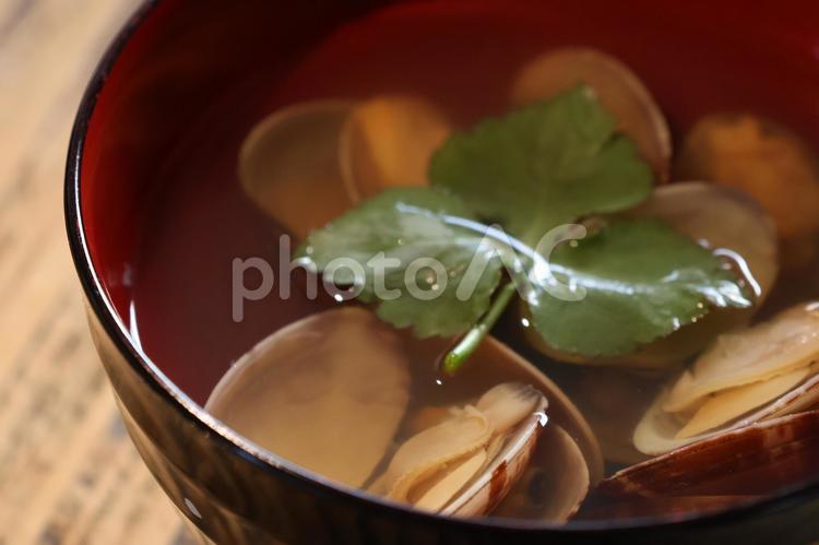 あさりのお吸い物（暗め） お吸い物,アサリ,貝の写真素材