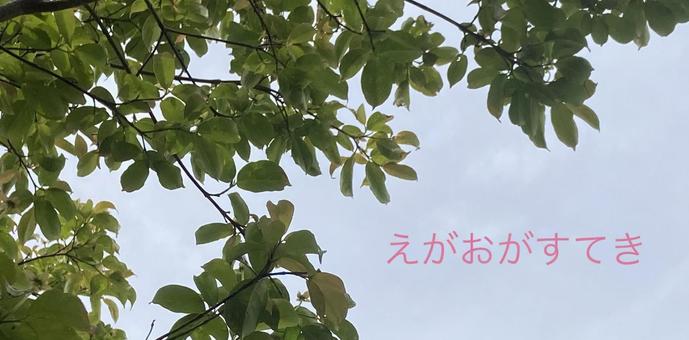 えがおがすてき えがおがすてき えがおがすてき,言葉,ことばの写真素材