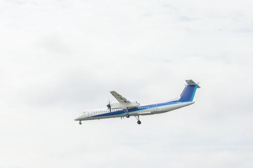 曇り空を背景に降り立つ翼 曇り空を背景に降り立つ翼の写真