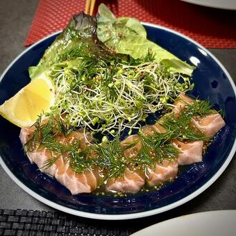 トロサーモンのカルパッチョ 旦那飯,男の料理,手料理の写真素材