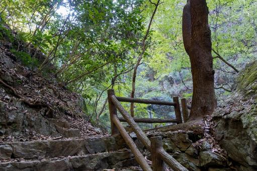 静岡県浜松市　秋の仙厳の滝 遊歩道 日本,静岡県,浜松市の写真素材