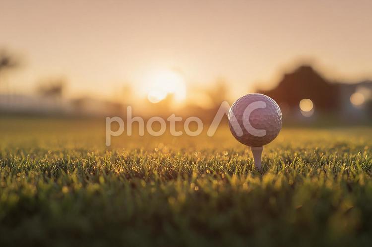 穏やかな夕暮れのゴルフ風景 ゴルフ,ゴルフボール,ゴルフコースの写真素材