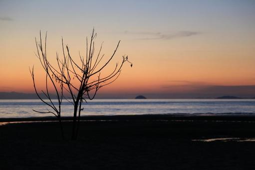 夜明けの静寂 夜明けの静寂 海,夜明け,朝の写真素材