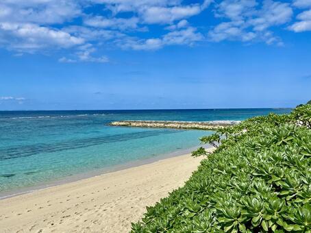 やんばるの海 海,空,水平線の写真素材