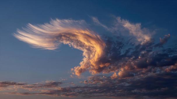 鳥の形に見える雲 鳥の形に見える雲の写真