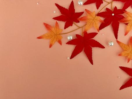 紅葉とパールのフレーム 紅葉とパールのフレームの写真