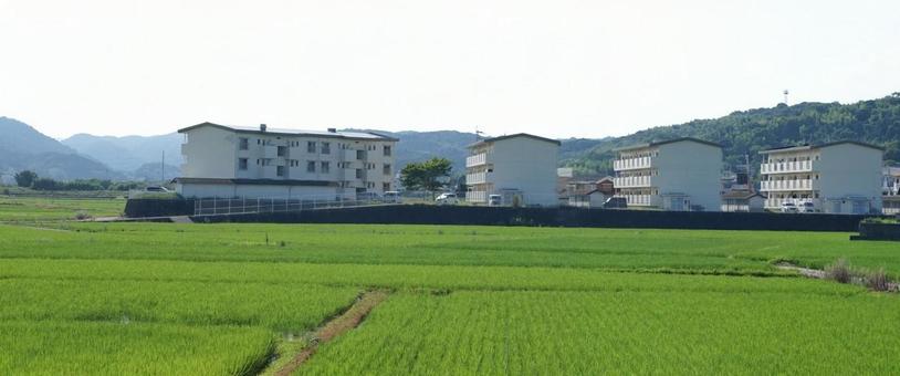 夏の田園風景と建物 夏の田園風景と建物の写真