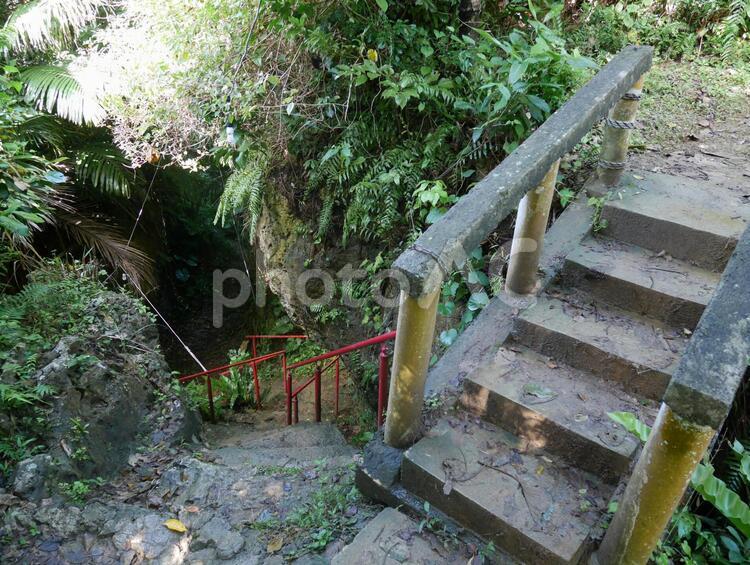 【沖縄・那覇】末吉宮・末吉公園 那覇市,末吉,神社の写真素材