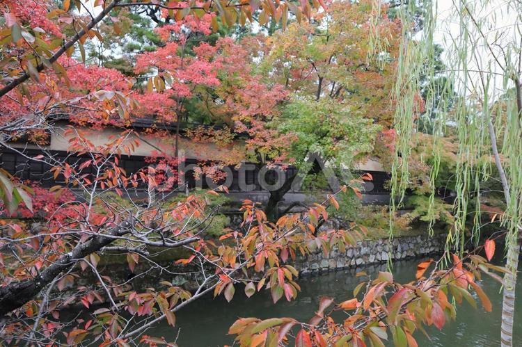 倉敷　美観地区 くらしき川舟流し,倉敷,美観地区の写真素材