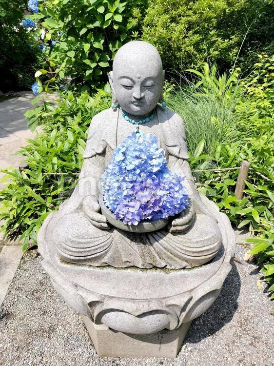 鎌倉　明月院の花想い地蔵様 花想い地蔵,明月院,お地蔵様の写真素材
