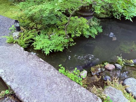 石橋と庭園の池 石橋と庭園の池 日本庭園,京都,緑の写真素材
