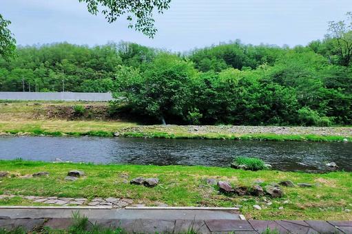 小坂川10 小坂川10 小坂川,小坂川河川公園,新緑の写真素材