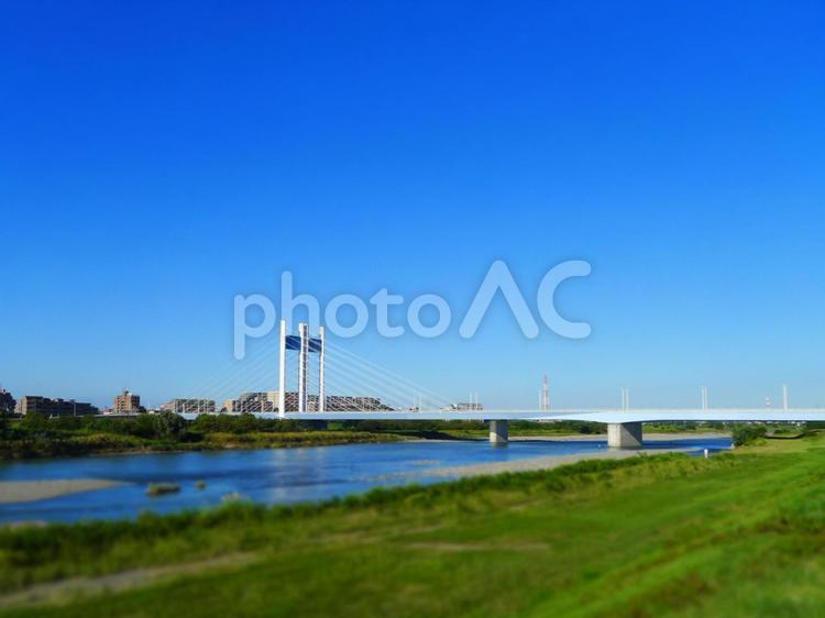 是政橋（ミニチュア風、ピントは橋、上下はボケ） 橋,是政橋,多摩川の写真素材