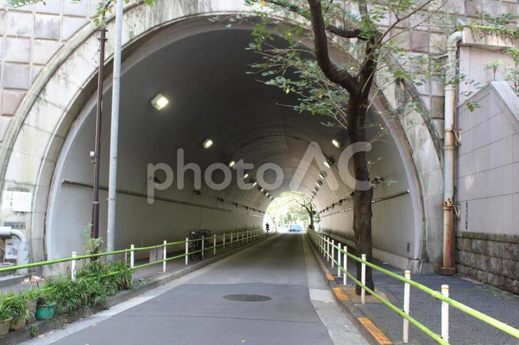 愛宕神社の裏口の道路 愛宕神社,入口,トンネルの写真素材