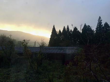 朝霧と山の端に昇る光と杉林のシルエット 朝霧と山の端に昇る光と杉林のシルエットの写真