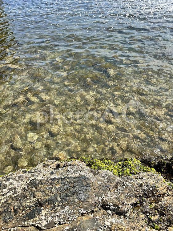 太地町夏山　夏山園地　海岸公園　春の磯 太地町夏山,芝生広場,海岸の写真素材