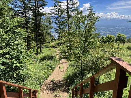 入笠山の登山風景（登山口～湿原間） 入笠山,登山,ハイキングの写真素材