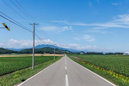 青空と一本道 青空と一本道 青空と一本道,道,直線の写真素材