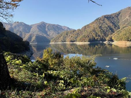 秋の福井の九頭竜ダム　紅葉に色づく湖 秋,道路,晩秋の写真素材