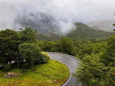 いろは坂2 いろは坂2 新緑,雨,坂道の写真素材