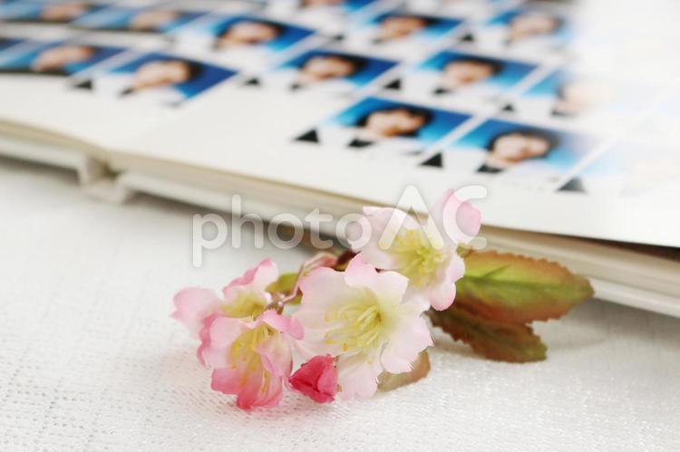 卒業アルバムと桜 卒業アルバム,卒業,卒業式の写真素材