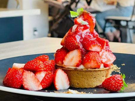 いちごタルト いちごタルト,苺タルト,いちごの写真素材