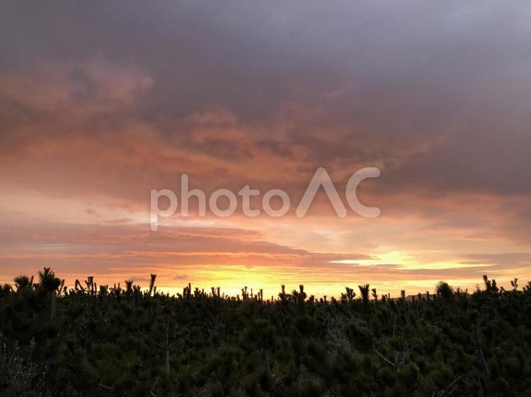 燃えるような夕焼け 夕焼け,空,風景の写真素材