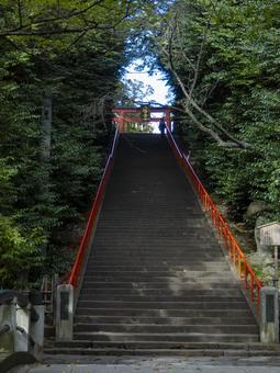 大崎八幡宮 大崎八幡宮の写真