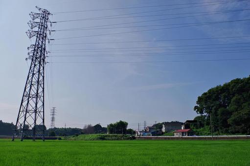 水田のある夏の田園風景 水田のある夏の田園風景の写真