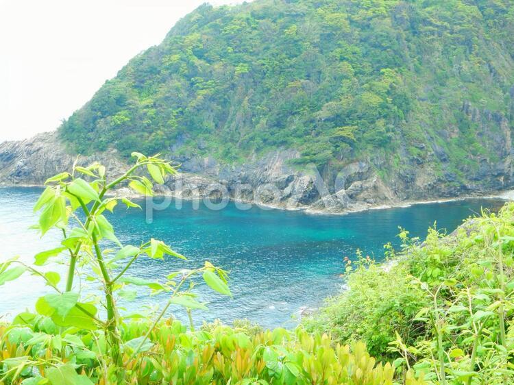 京都(伊根町)の海景色 京都,伊根,海の写真素材