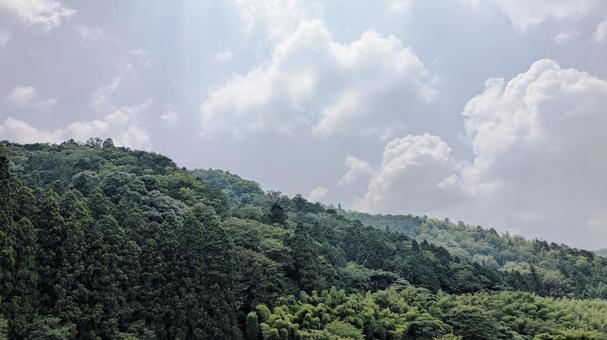 夏の森からモクモクとわいてくる雲 夏の森からモクモクとわいてくる雲の写真