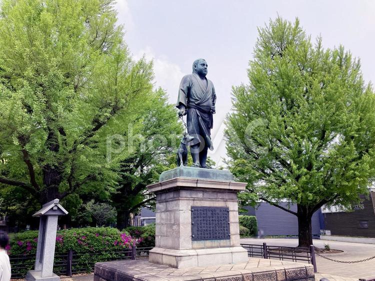 東京風景・上野公園 上野公園,上野恩賜公園,西郷隆盛像の写真素材