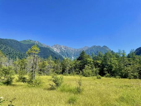 夏の穂高連峰と緑の湿地帯 夏の穂高連峰と緑の湿地帯 穂高連峰,上高地,自然の写真素材