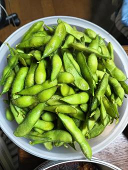 枝豆 枝豆の写真