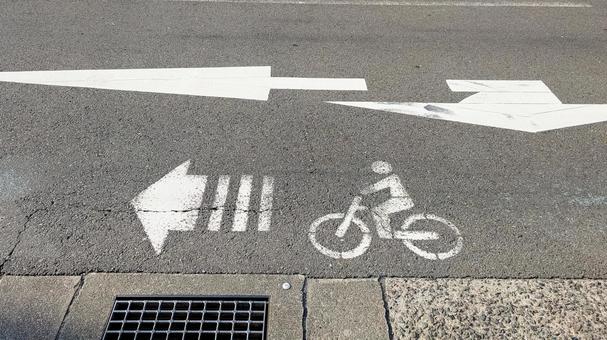 Photo, the way, bicycle, lane, 