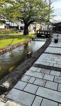大堰公園(山形県金山町) 大堰公園(山形県金山町)の写真